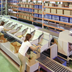 Shoe Sorter automated sorting systems